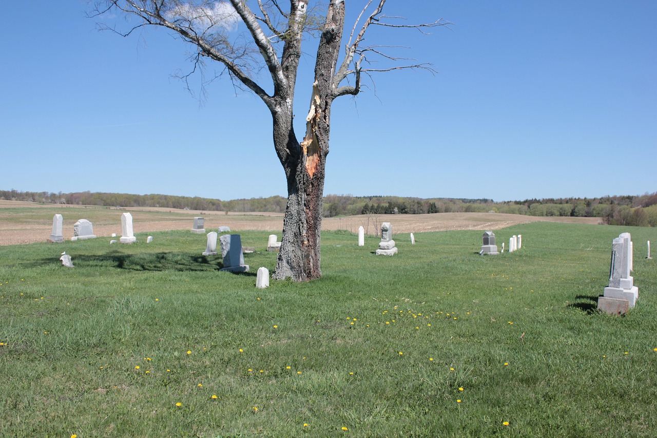 Cemetery Tree Peaceful Free photo on Pixabay Pixabay