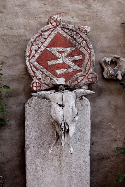 Free Skull Rune photo and picture