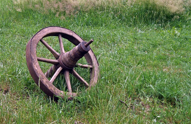 Roda, Prado, Madeira, Decoração
