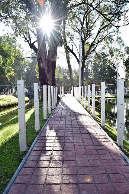 Free Path Sun photo and picture