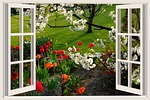 a beautiful day, good mood, joy