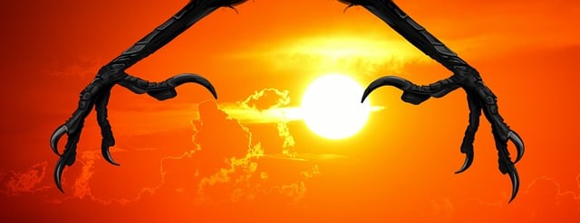 Free sunset crow flying illustration
