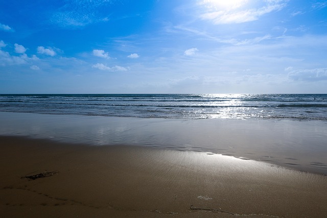 Free Beach Sun photo and picture