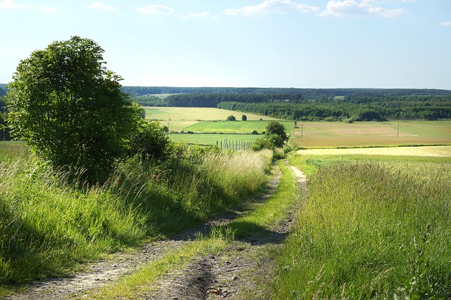 Free Landscape Fields photo and picture
