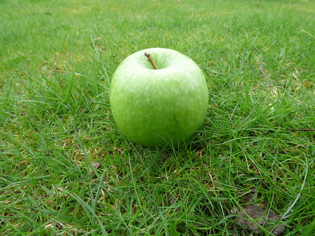 Free Apple Nature photo and picture