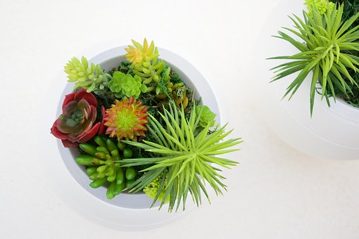Decoración, Plantas, Urnas Funerarias