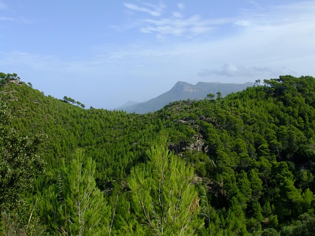 Banyalbufar, Mallorca, Tramuntana