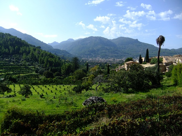 Tramuntana, Soller, Mallorca