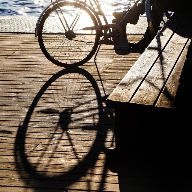 Free Bicycle Backlighting photo and picture