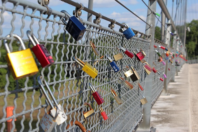Free Love Lock Bridge photo and picture