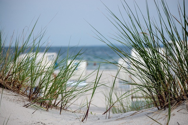 Free Beach Dune photo and picture