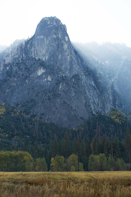 Yosemite, Nebel, Feld