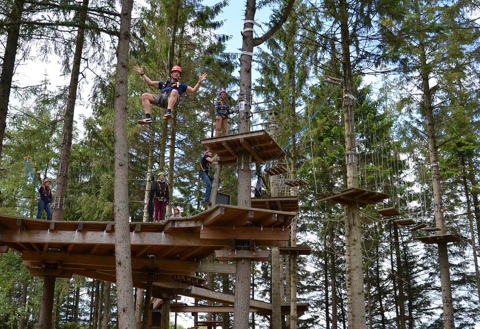Climb Climbing Forest High Ropes · Free photo on Pixabay