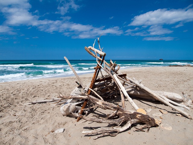 Free Sea Beach photo and picture