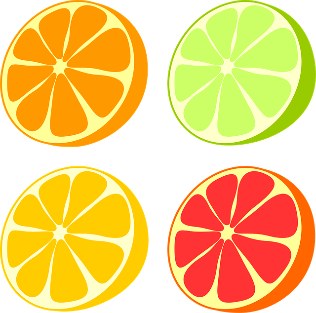 Download free HD stock image of Citrus Orange Free citrus orange lemon illustration