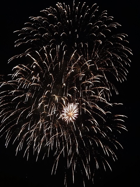 Free Fireworks Sylvester photo and picture