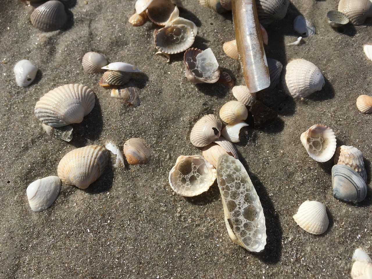Északi-Tenger Strand Homok - Ingyenes fotó a Pixabay-en - Pixabay