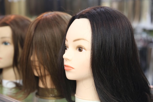 Free Hair Mannequin photo and picture
