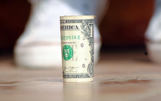 Free Dollar Money photo and picture