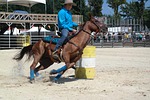 equiblues, rodeo, barel racing