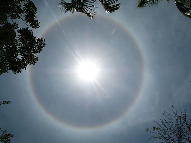 Free Sonnenhalo Sun photo and picture