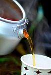 tea, camp, forest