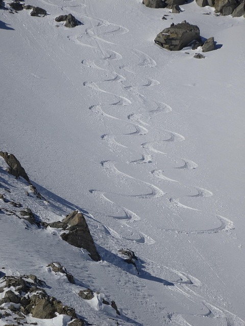 Free Snow Cold photo and picture