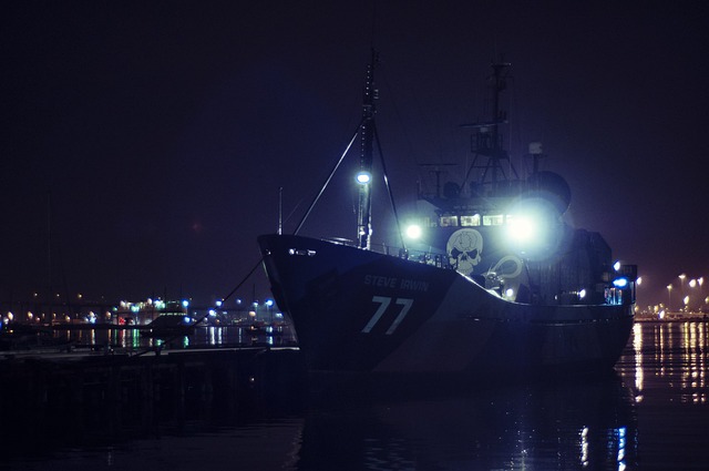 배, 자연, 부두, 해적, Sea Shepherd, 스티브 어윈, 선박