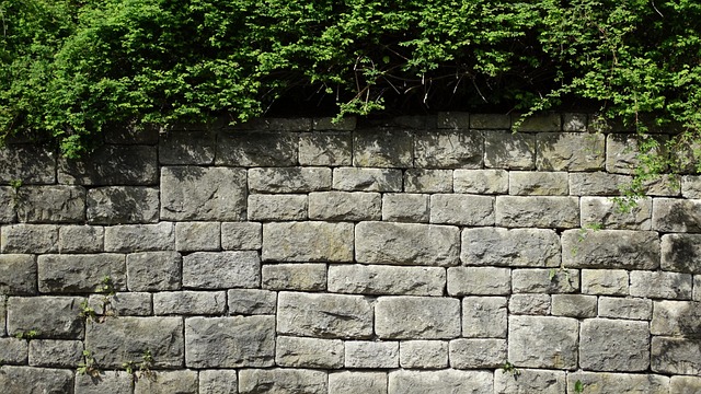 Free Stone Wall Plants photo and picture