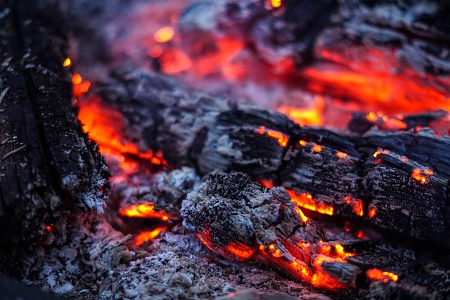 Free Money Fire photo and picture