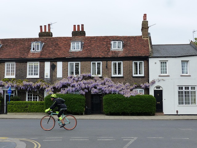 Free House Architecture photo and picture