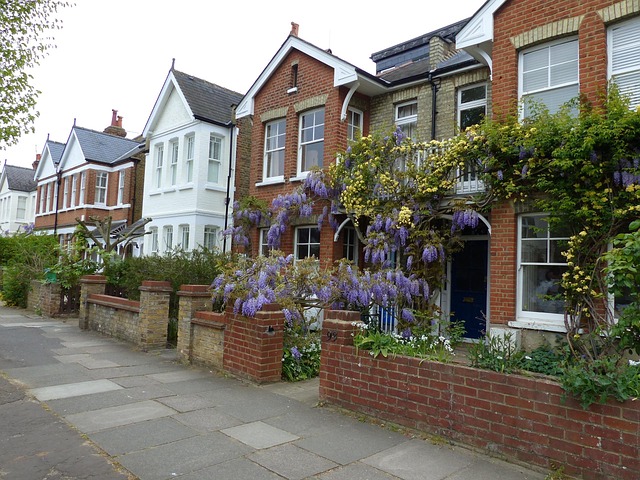 Free House Architecture photo and picture