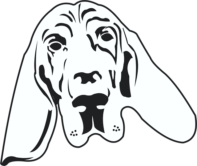 Hound Dog, Cachorro, Cão De Caça