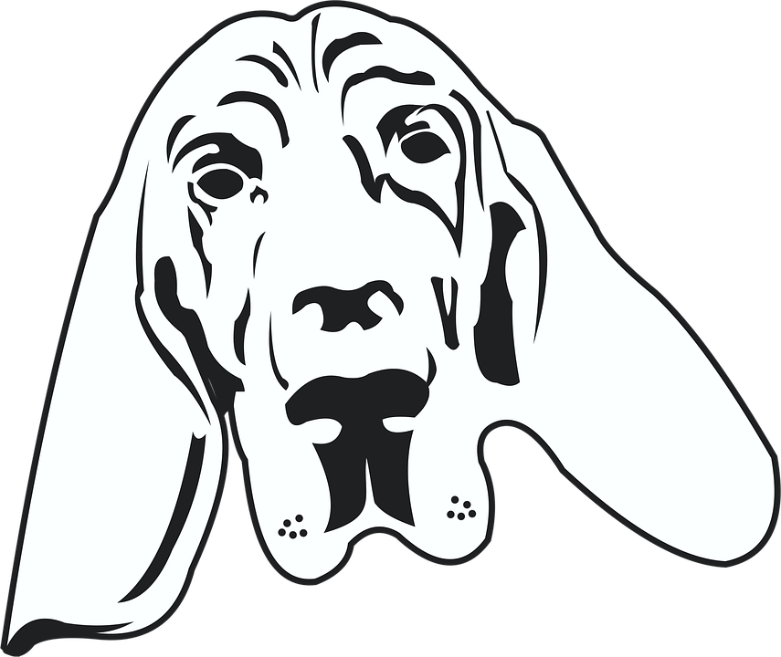 Hound Dog Free Vector Graphic On Pixabay