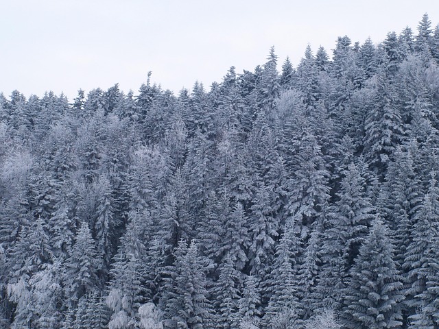 Hard Rime Mountains Snow - Free photo on Pixabay - Pixabay