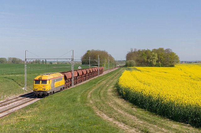 Free Train Bb 67200 photo and picture
