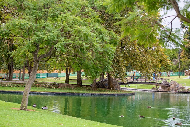Free Park Green photo and picture