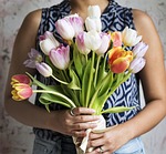 arrangement, attractive, beautiful