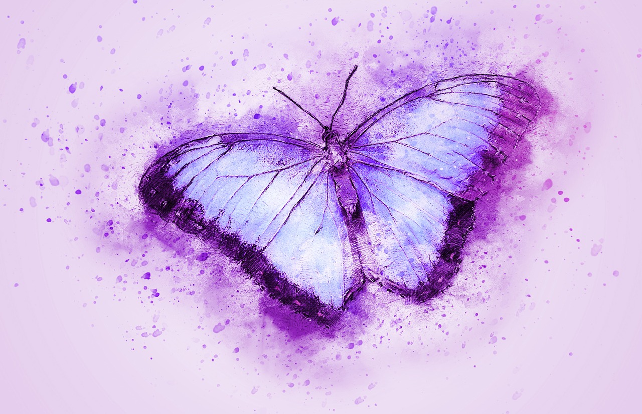 Mais De 40 000 Imagens Gr tis De Borboleta Lilas E Borboleta Pixabay