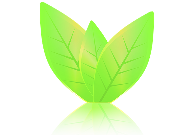 Blätter, Green, Natur, Reflexion, Leben