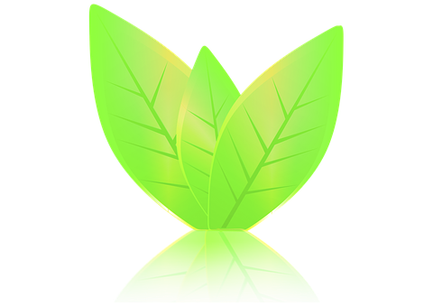 Free Sheets Green illustration and picture