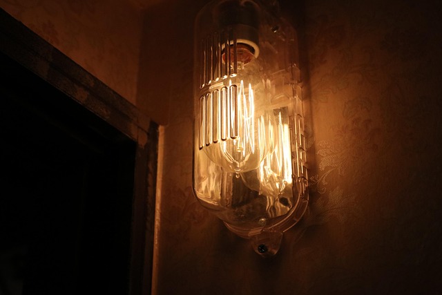 Free Bulb Light photo and picture