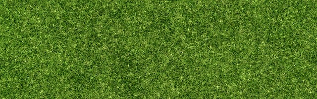Free background grass lawn illustration