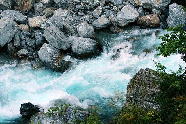 Más de 10 000 imágenes gratis de Arroyos y Naturaleza - Pixabay