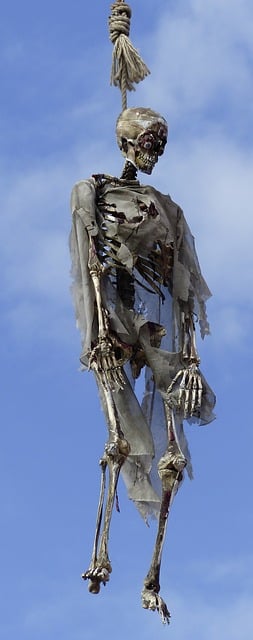 Free skeleton gallows node illustration