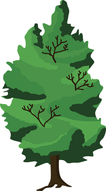 Træ, Skov, Træer, Grøn, Landskab, Natur