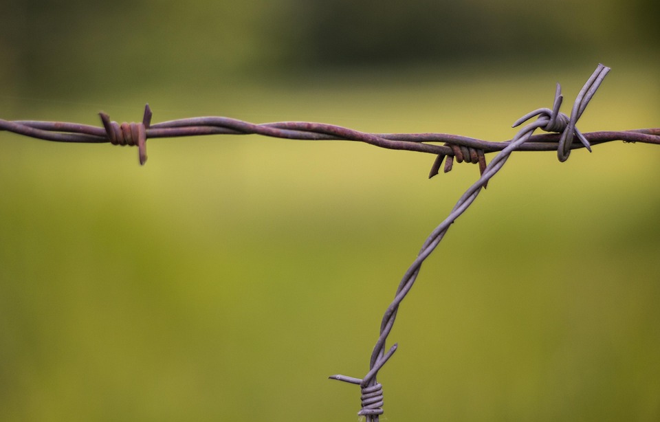 Barbed Wire Fence On Farm Barbed Wire Fence On Farm