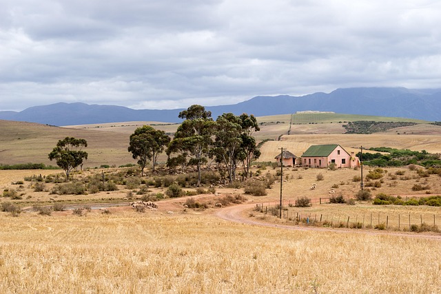 Free Landscape Agriculture photo and picture