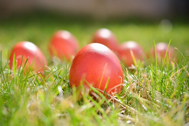 Free Easter Eggs photo and picture