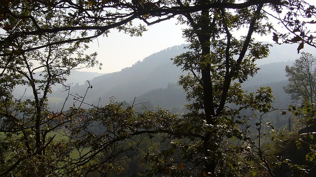 Free Landscape Sauerland photo and picture